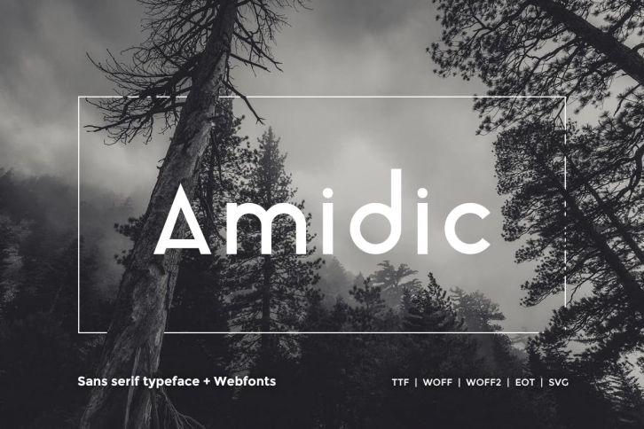 Amidic - Modern San-serif Typeface WebFont Font Download