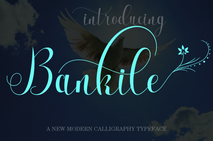 Bankile Font Download