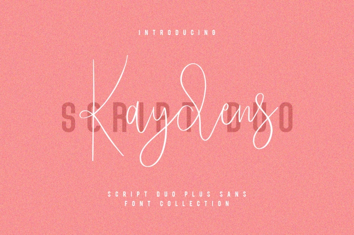 Kaydens Script Font Collection Font Download