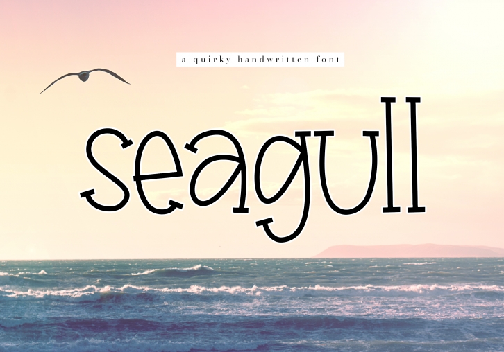 Seagull - A Fun Handwritten Font Font Download
