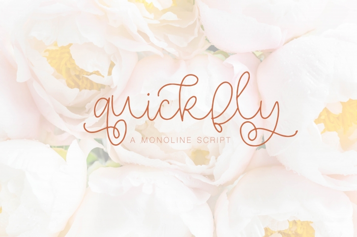 Quickfly - A Monoline Script Font Download