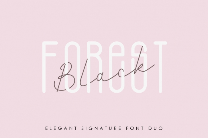 Black Forest l Elegant Font Duo Font Download