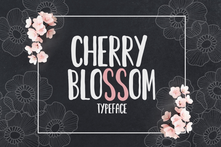 Cherry Blossom Typeface Font Download