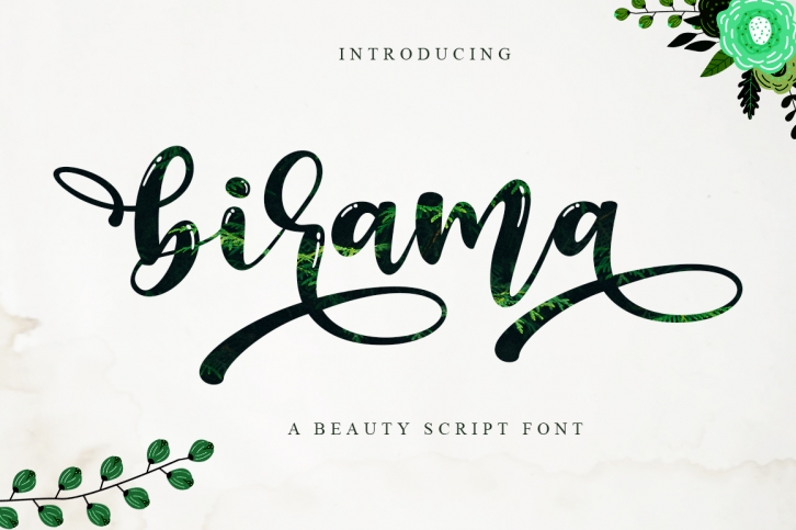 Birama a Beauty Modern Calligraphy Script Font Download
