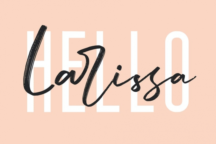 Larissa - Handwritten Font Font Download