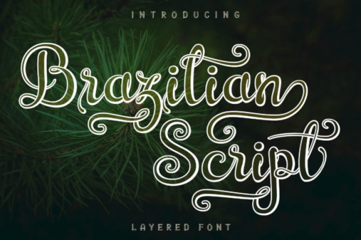 Brazilian Script Font Download