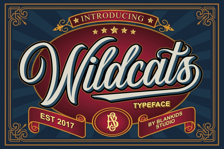 Wildcats Typeface (40% off) Font Download