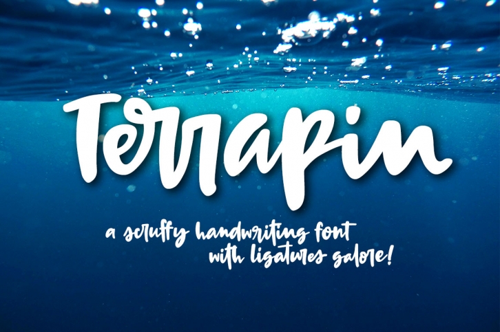 Terrapin - a scrappy handwriting font! Font Download
