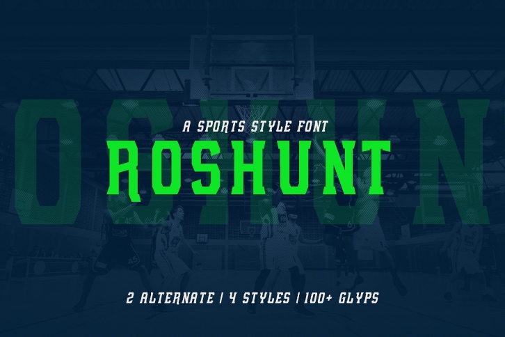 Roshunt - NFC Font Family Font Download