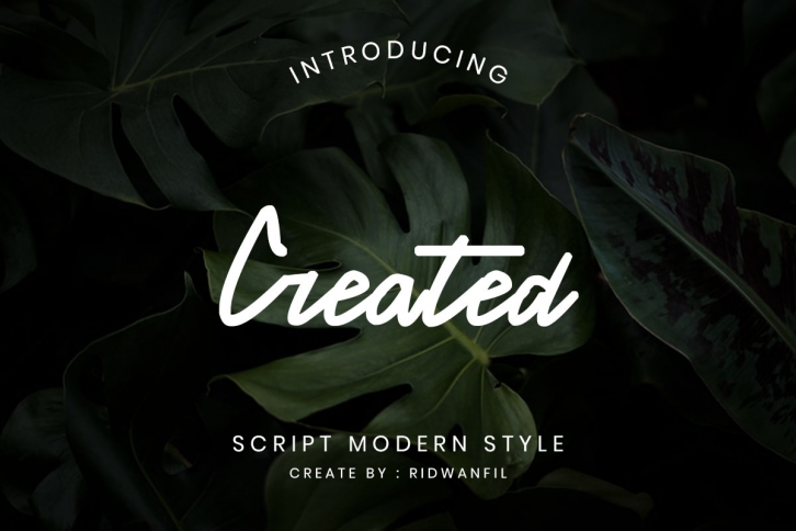 Created font - Script Modern Style Font Download