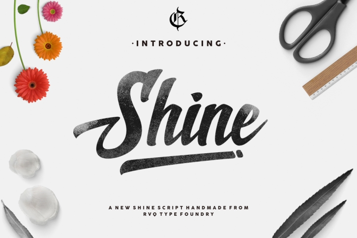 New Shine Script Font Download