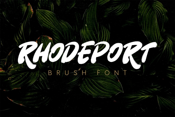Rhodeport - Brush Font Font Download