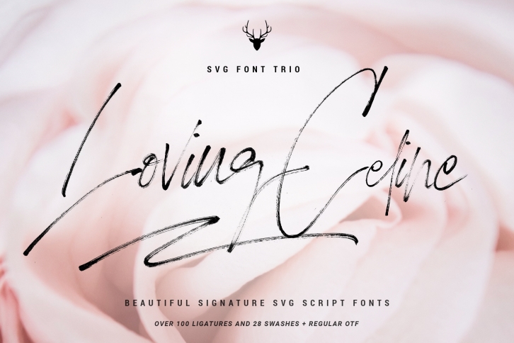 Loving Celine Signature SVG Font Trio - Modern Brush Fonts Font Download