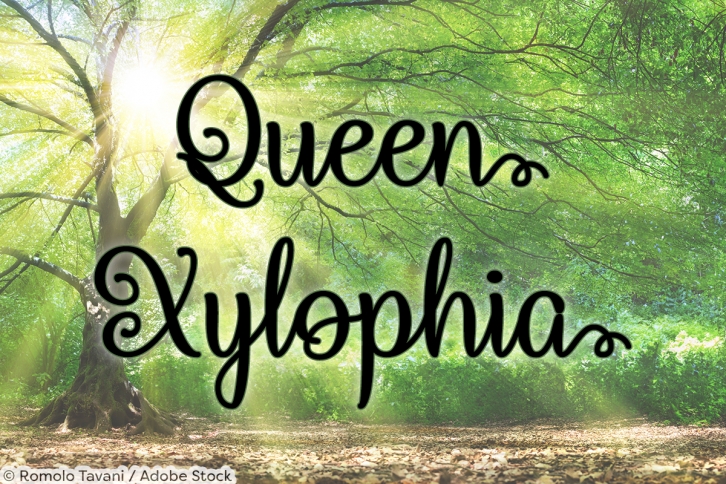 Queen Xylophia Font Download