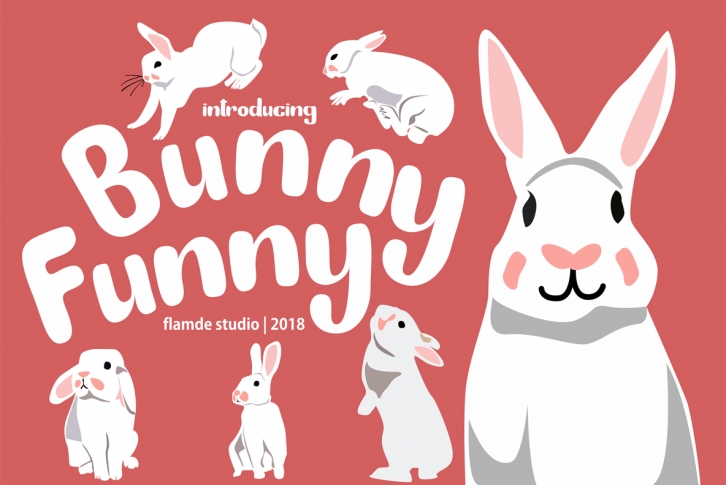 Bunny Funny | Playfull Font Font Download