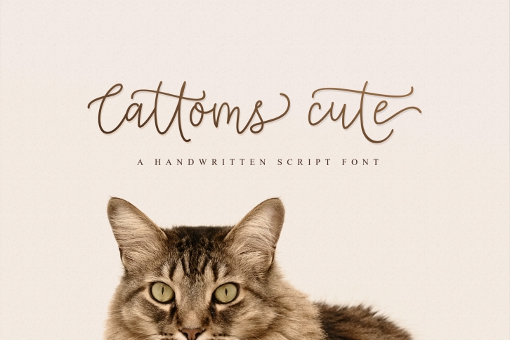 Cattoms Cute Script Fonts Font Download