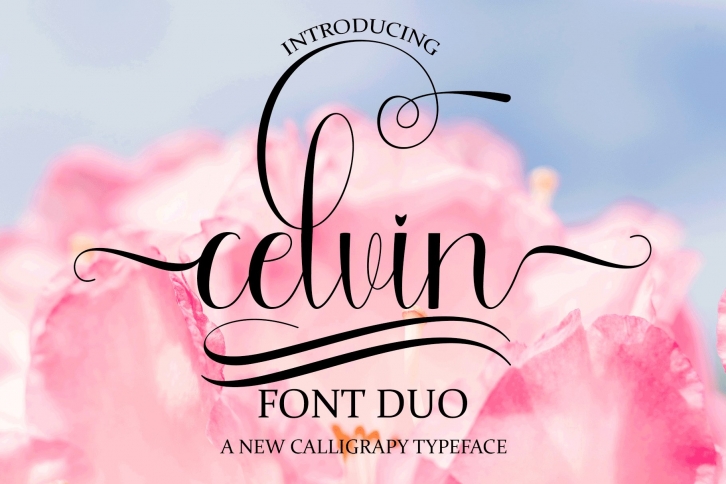 Celvin Font Duo Font Download