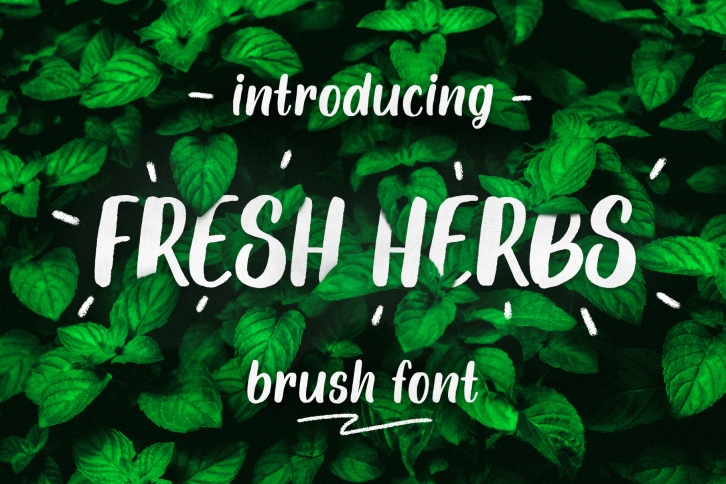 Fresh Herbs font Font Download