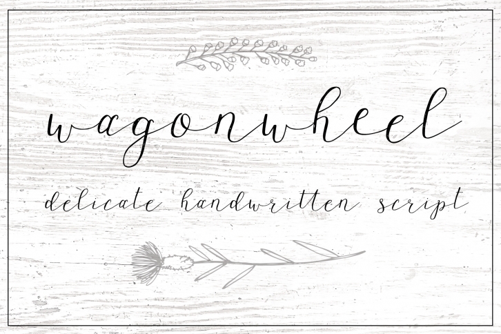 Wagonwheel Delicate Handwritten Script Font Font Download