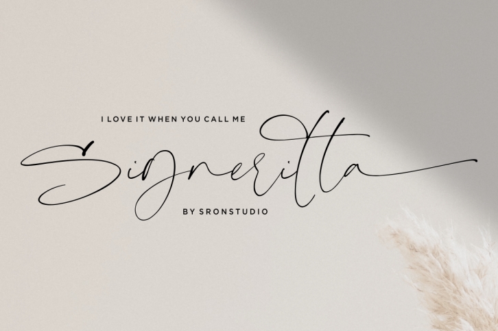 Signeritta - Elegant Signature Font Download
