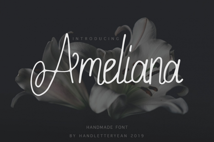 Ameliana Font Download