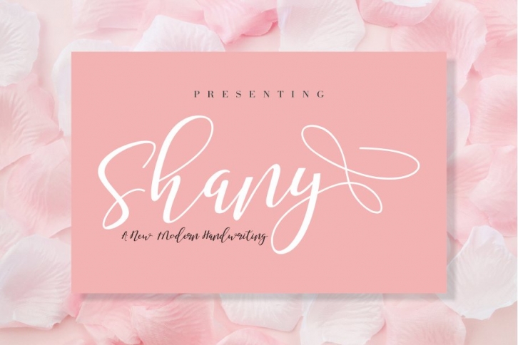 Shany Font Download