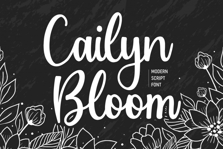 Cailyn Bloom Modern Script Font Font Download