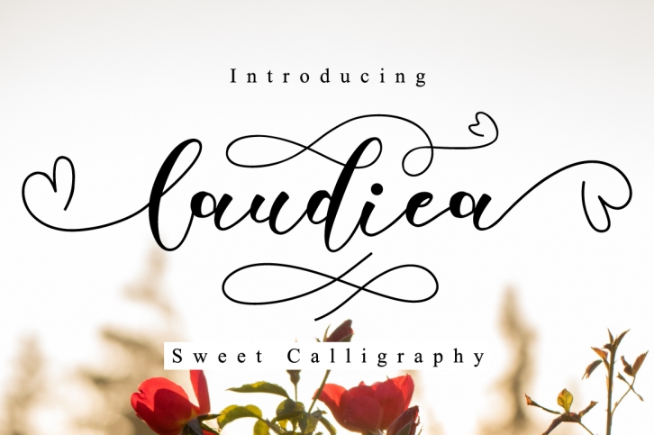 Laudiea Script Font Download