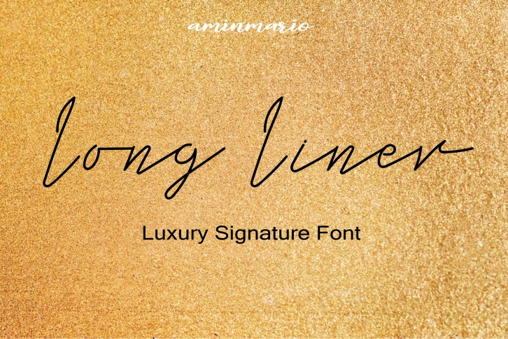 Long Liner | Luxury Signature Font Download