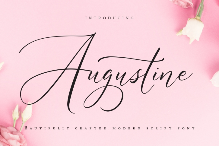 Augustine | Modern Script Font Font Download