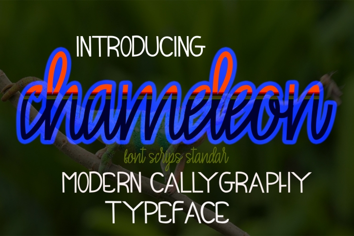 Chameleon Font Download