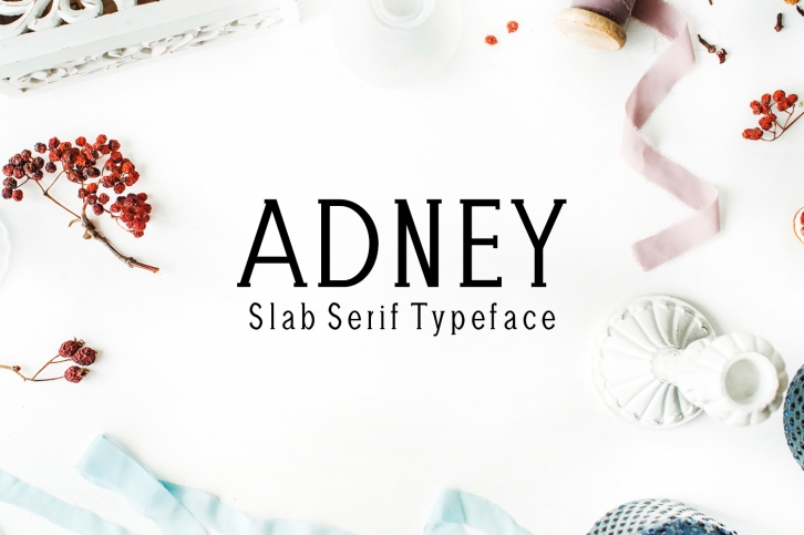 Adney Slab Serif 3 Font Family Font Download