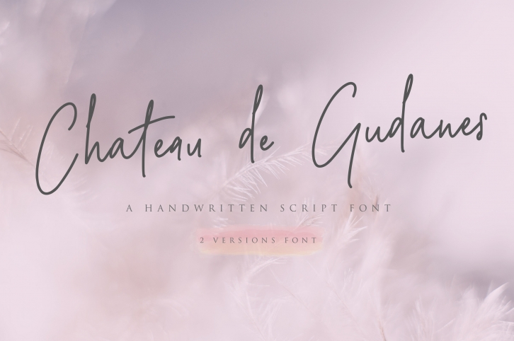 Chateau de Gudanes  2 Elegant Fonts Font Download