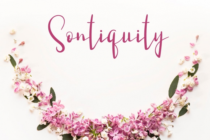 Sontiquity Script Font Font Download