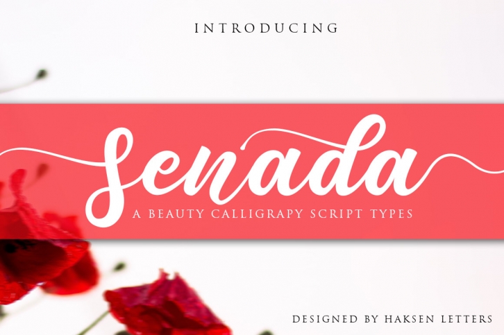 Senada Beauty Script Handwritten Font Download