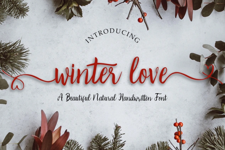 Winter Love | Handwritten Script Font Font Download