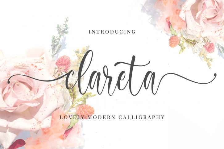 Clareta Font Download