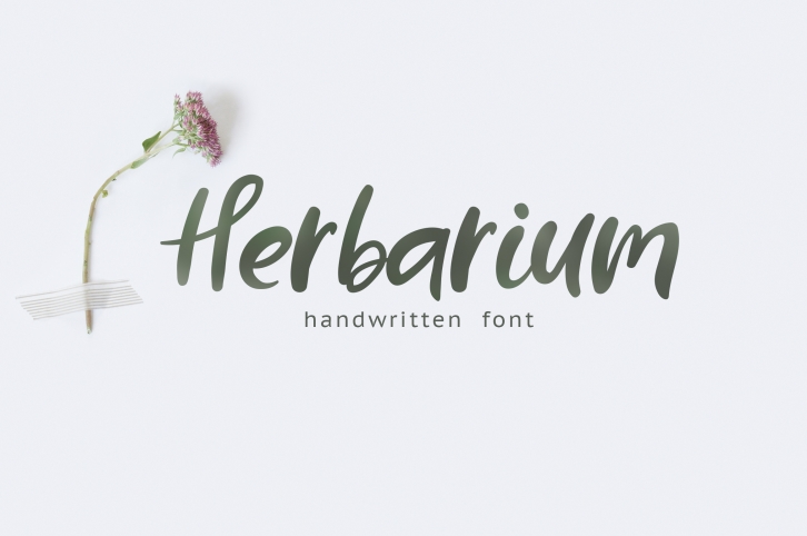 Herbarium font. New Language Update! Font Download