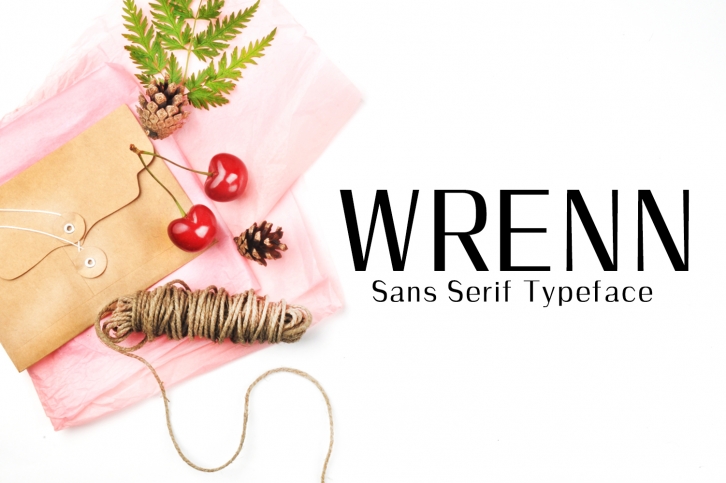 Wrenn Sans Serif 6 Font Family Font Download