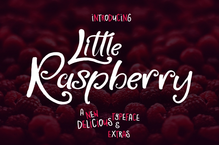 Little Raspberry Font Download