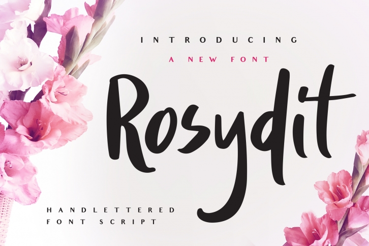 Rosydit - Handlettered Script Font Font Download