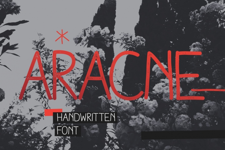 Aracne Font Download