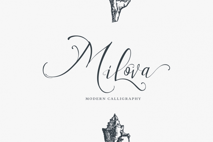 Milova | Modern Calligraphy Font Download