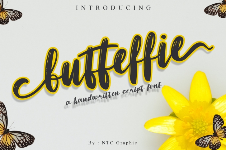 Butteffie Script Font Font Download