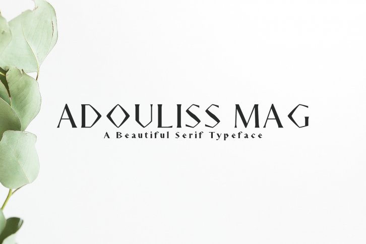 Adouliss Mag Serif Font Family Font Download