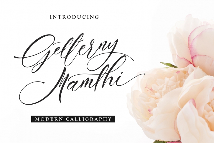 Getterny Mamthi Font Download