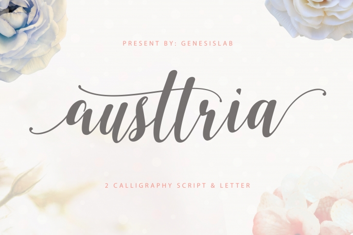 Austtria Script & Letter Font Download