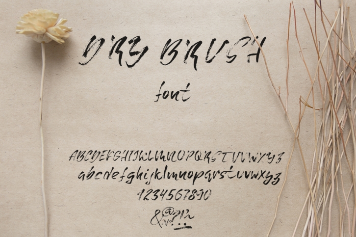 Grunge dry brush font Font Download