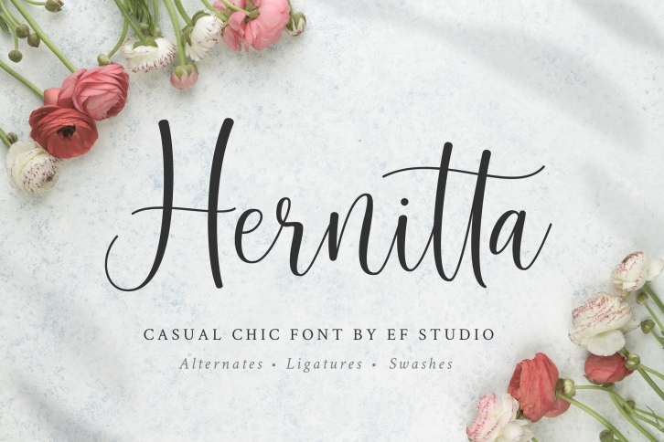 Hernitta Script Font Font Download