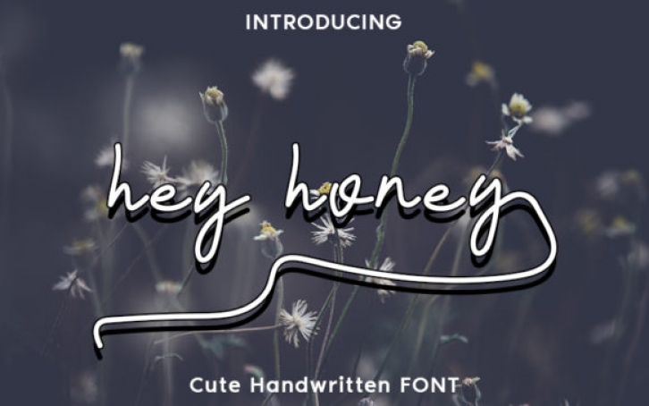 Hey Honey Font Download